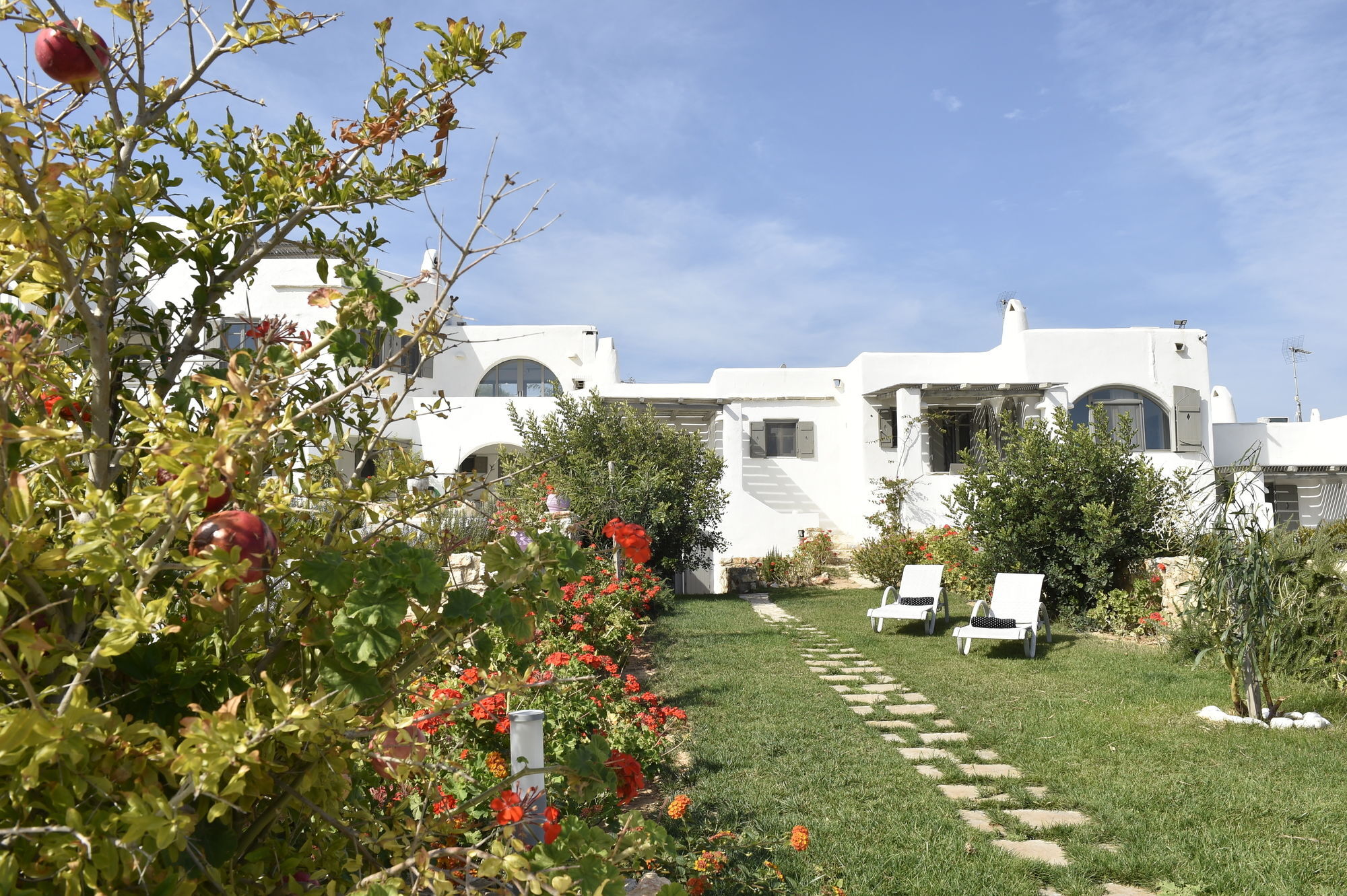 Naoussa Hills Boutique Resort- Adults Only Páros 외부 사진